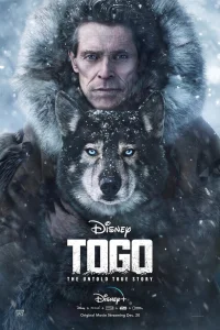 T0r0